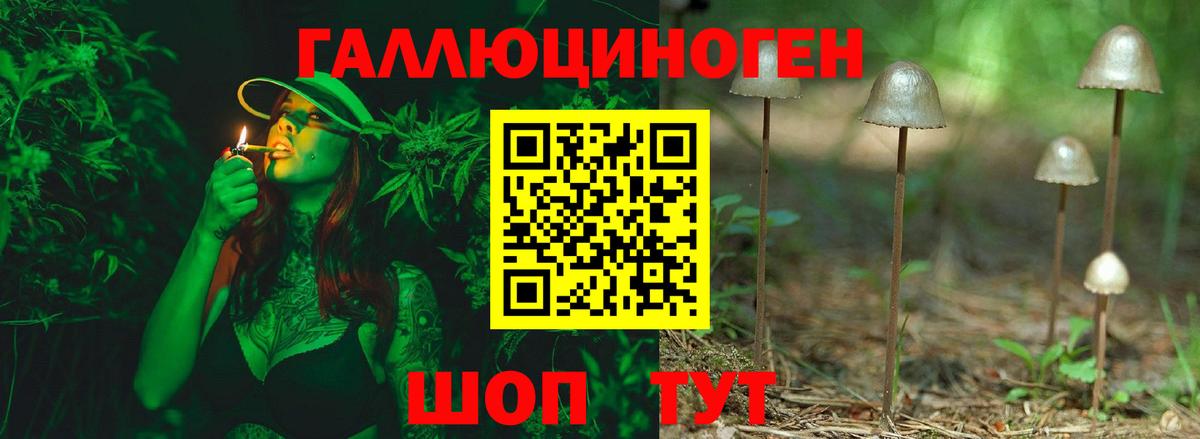 Галлюциногенные грибы GOLDEN TEACHER  Вход с VPN  Дубна  Псилоцибиновые грибы Psilocybe 